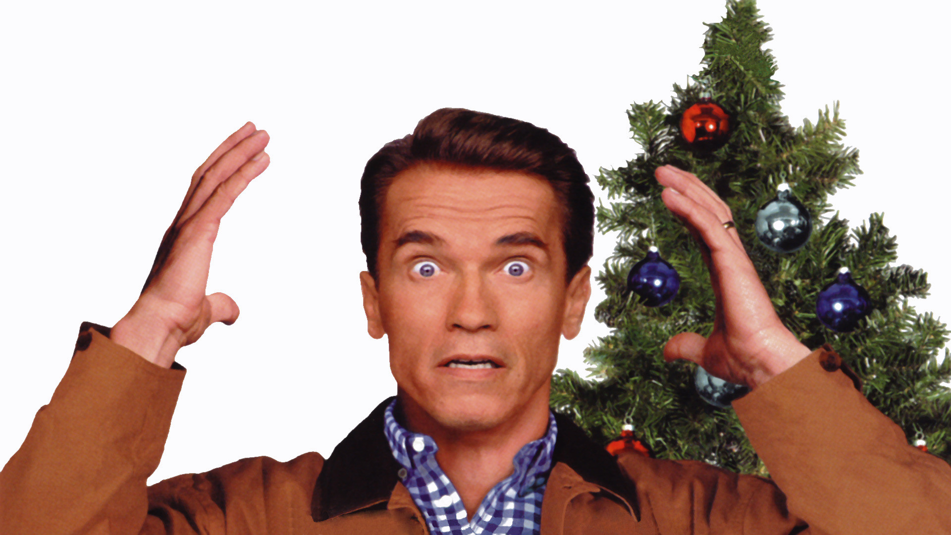 Image of Arnold Schwarzenegger from the movie Jingle All the Way