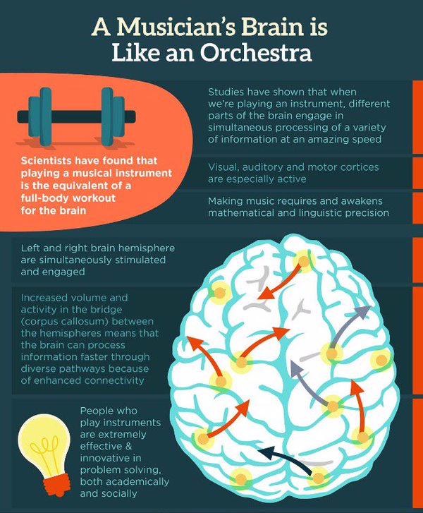 a-musicians-brain-is-like-an-orchestra