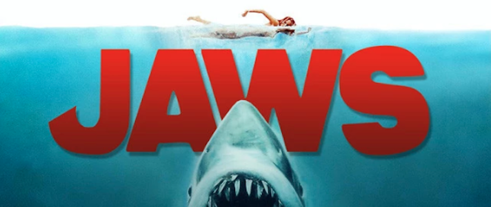 Jaws –  Joel McNeely